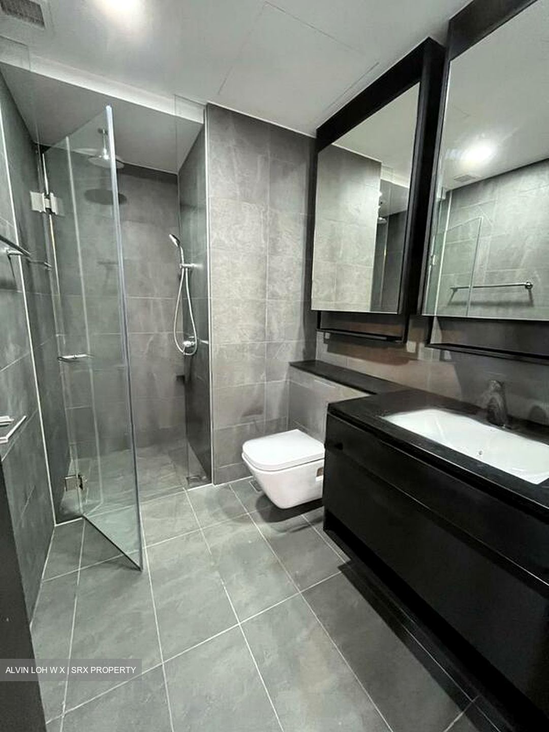 Park Colonial (D13), Condominium #463914111
